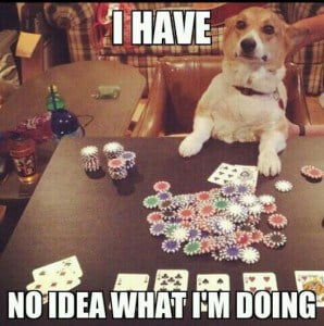 a dog sitting with chips and cards in front of him