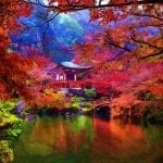 asian castle near a lake circled with red and green trees